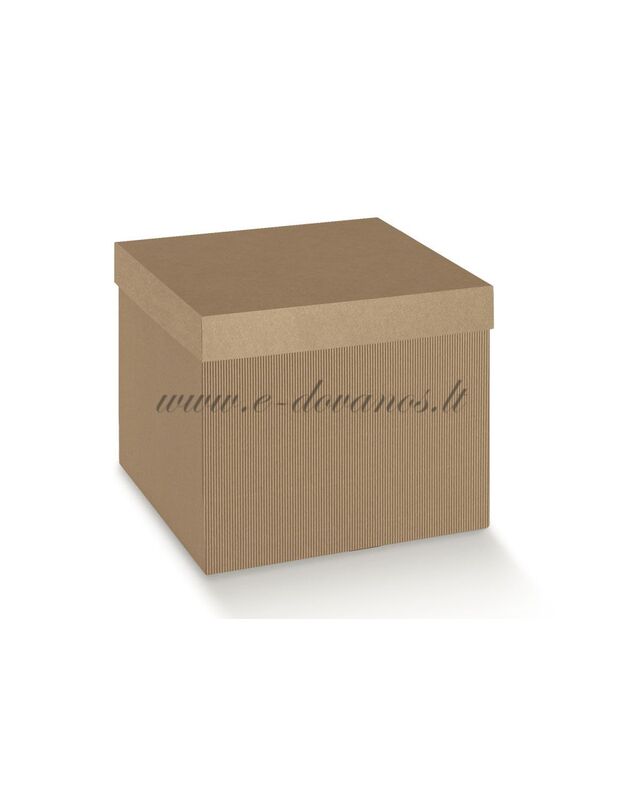 Dėžutė Onda Avana F/C quadrate 300x300x240